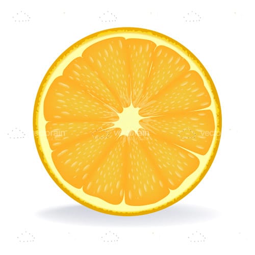 Orange Slice